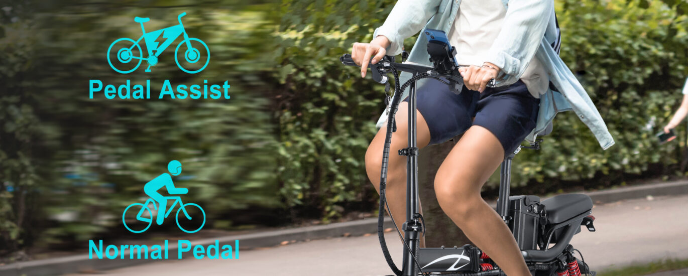 Mobility Tricycle for Seniors