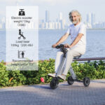Lightweight Electric Trikes