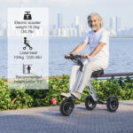 Electric Trikes for Adults