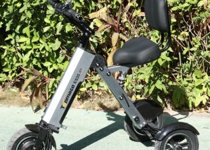 Portable Electric Tricycle