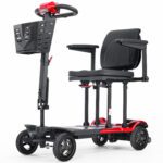 mobility scooter for cruise