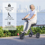 mobility scooter farmers market